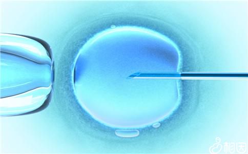 院长